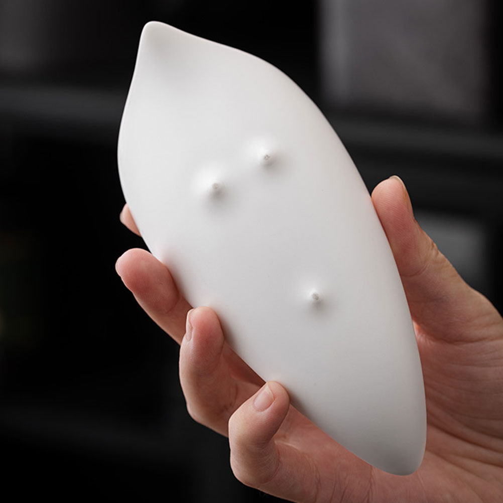 Ceramic Tea Scoop Premium Loos - Kitchen Baking Soda avis et prix